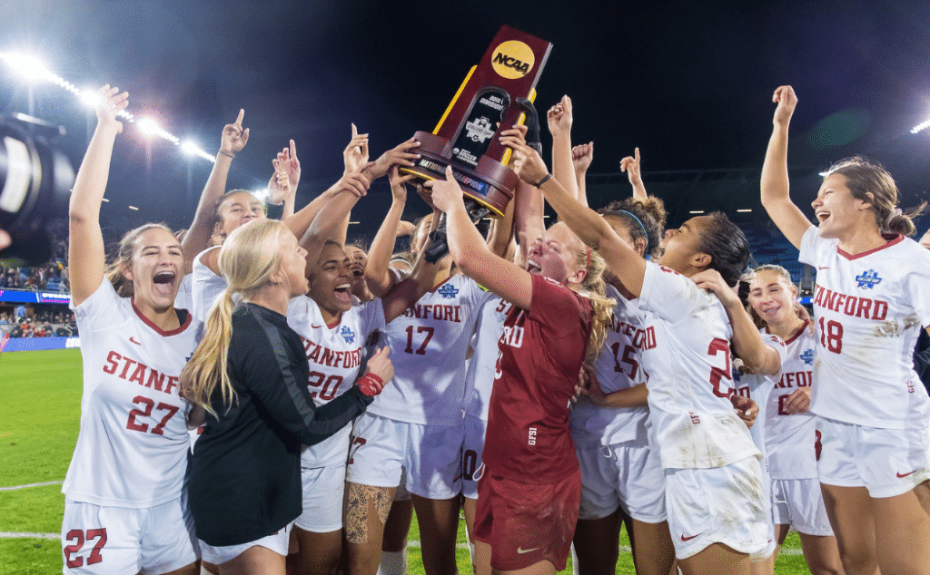 中扮演了重 中扮演了重