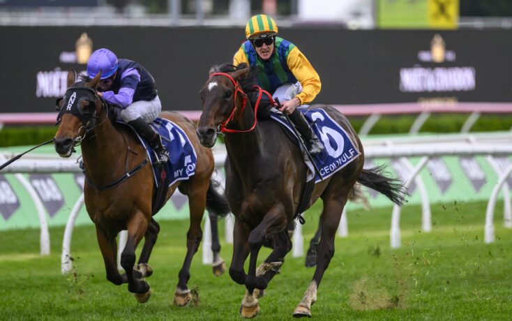 除了内部问 除了内部问