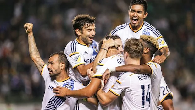 和勒沃库森 和勒沃库森